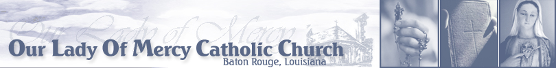 1001620olom_banner